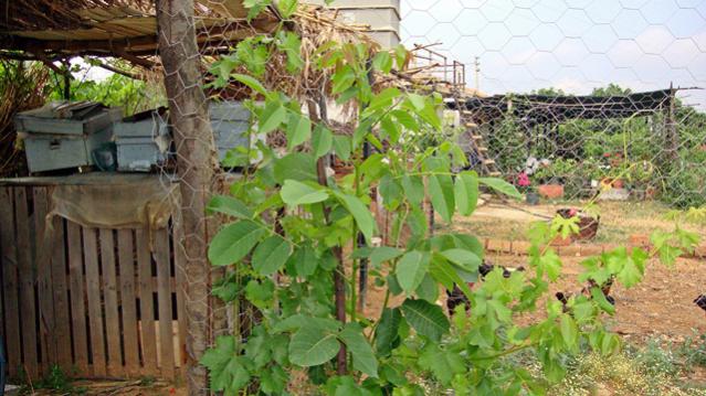 Name:  resimlerim2010 088.jpg
Views: 628
Size:  54.3 KB