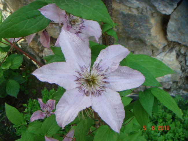 Name:  DSC00097.jpg
Views: 908
Size:  46.8 KB