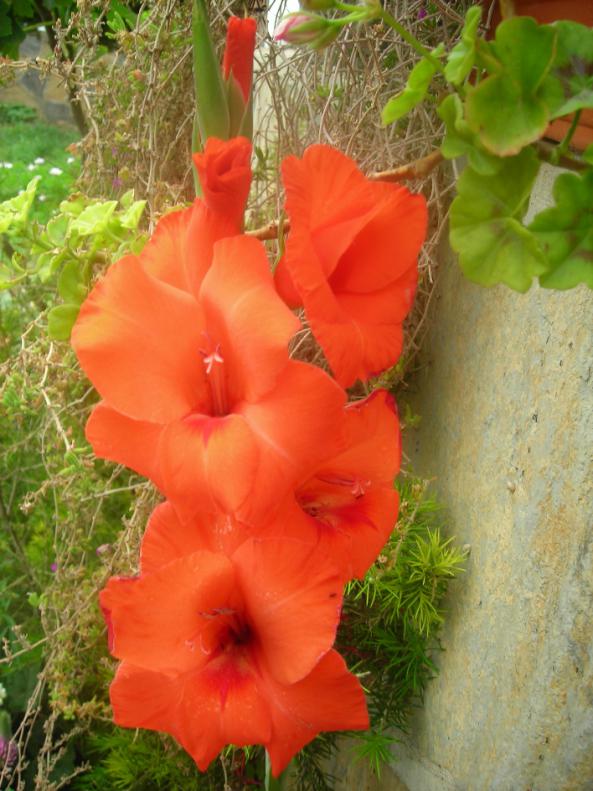 Name:  DSCN1858.jpg
Views: 862
Size:  72.7 KB