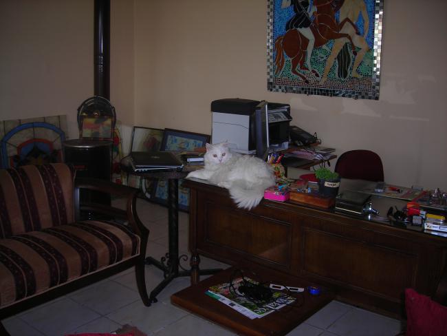 Name:  DSCN1955.jpg
Views: 858
Size:  34.3 KB