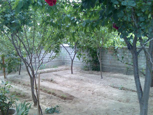 Name:  Grnt376.jpg
Views: 810
Size:  70.7 KB