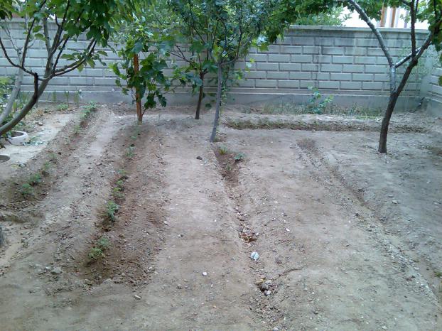 Name:  Grnt377.jpg
Views: 817
Size:  70.0 KB