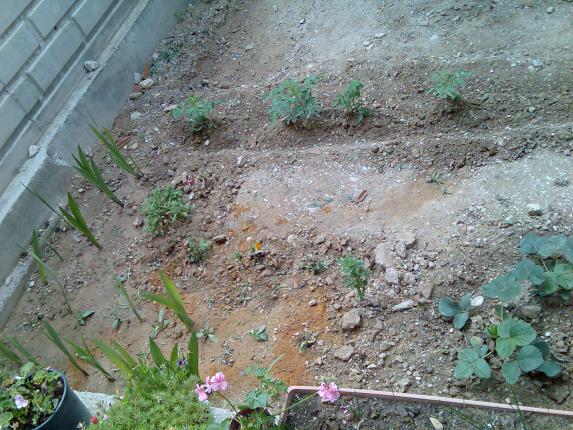 Name:  Grnt380.jpg
Views: 828
Size:  70.2 KB