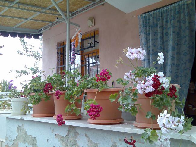 Name:  Grnt381.jpg
Views: 837
Size:  61.7 KB