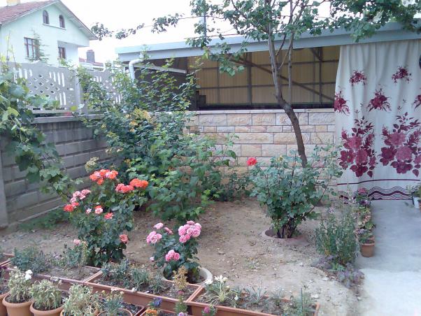 Name:  Grnt383.jpg
Views: 835
Size:  71.4 KB