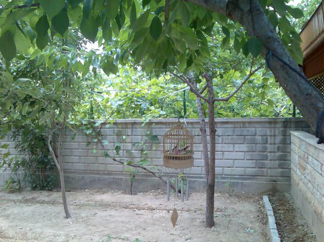 Name:  Grnt389.jpg
Views: 818
Size:  70.7 KB