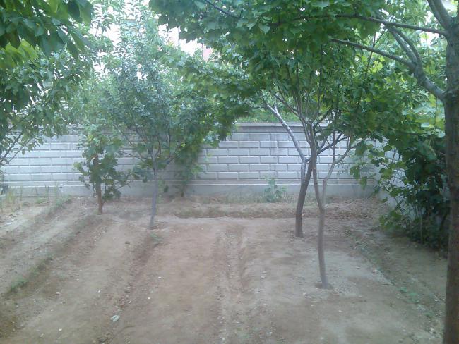 Name:  Grnt400.jpg
Views: 813
Size:  63.8 KB