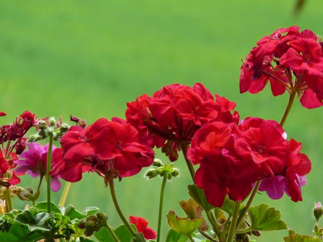 Name:  a12.jpg
Views: 1069
Size:  40.1 KB
