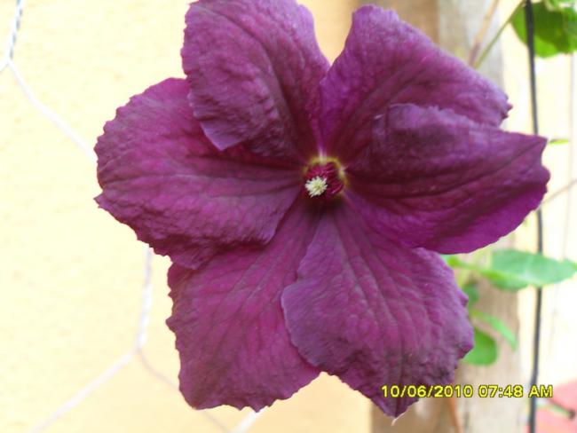 Name:  Resim 1007.jpg
Views: 852
Size:  32.3 KB
