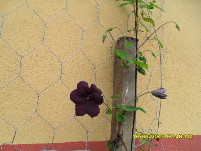 Name:  Resim 1008.jpg
Views: 896
Size:  56.7 KB