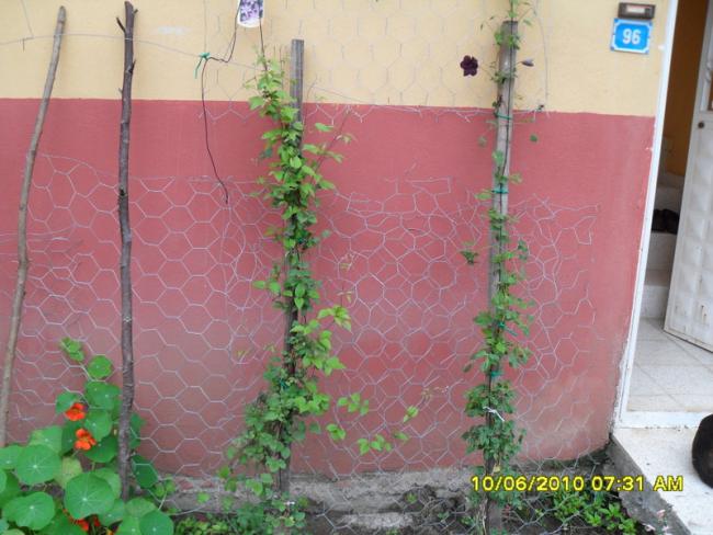 Name:  Resim 986.jpg
Views: 849
Size:  49.3 KB