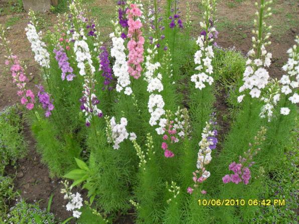 Name:  Resim 1037.jpg
Views: 882
Size:  71.3 KB