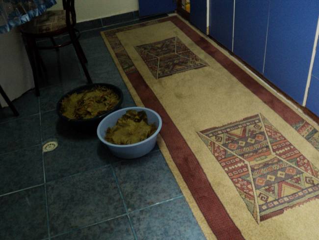 Name:  DSC00326_650x488.JPG
Views: 725
Size:  56.9 KB