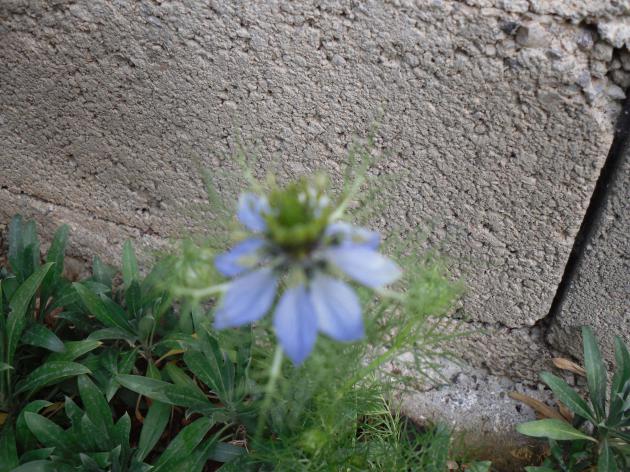 Name:  SDC10781 copy.jpg
Views: 685
Size:  70.2 KB