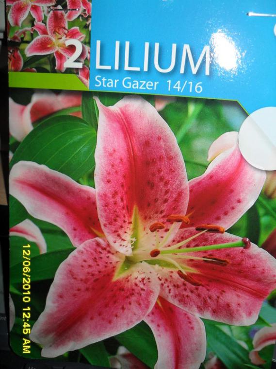 Name:  Resim 1061-1.jpg
Views: 1175
Size:  67.1 KB