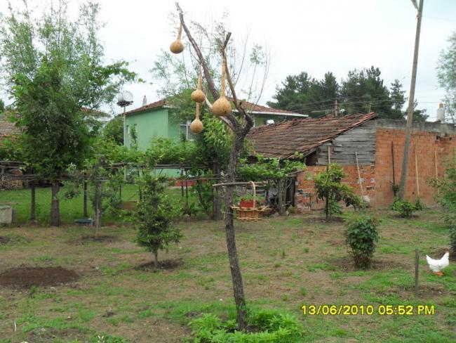 Name:  Resim 1074.jpg
Views: 806
Size:  65.5 KB