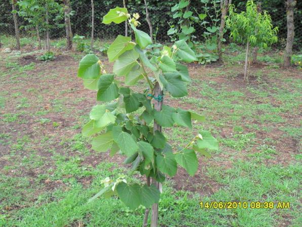 Name:  Resim 1110.jpg
Views: 789
Size:  71.1 KB