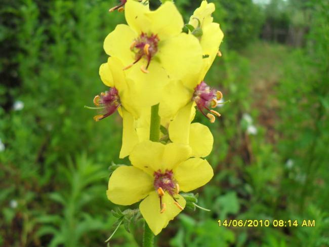 Name:  Resim 1086.jpg
Views: 1096
Size:  36.0 KB