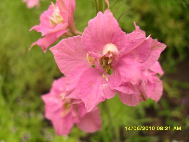 Name:  Resim 1093.jpg
Views: 936
Size:  32.2 KB