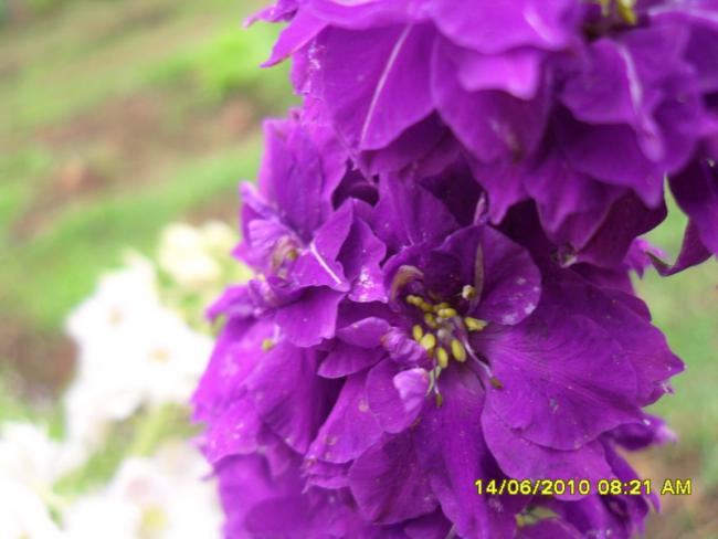 Name:  Resim 1094.jpg
Views: 868
Size:  35.5 KB