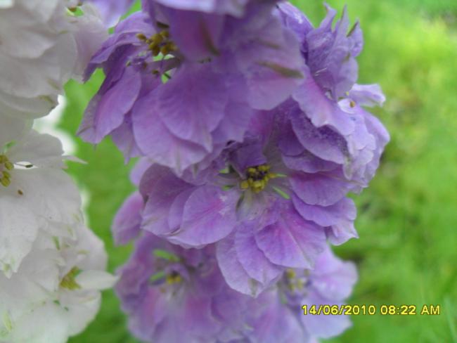 Name:  Resim 1096.jpg
Views: 872
Size:  31.4 KB