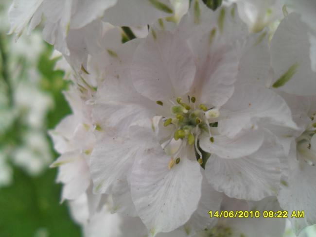 Name:  Resim 1097.jpg
Views: 867
Size:  25.6 KB