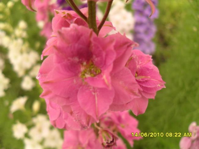 Name:  Resim 1098.jpg
Views: 901
Size:  32.8 KB