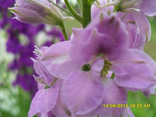 Name:  Resim 1099.jpg
Views: 894
Size:  31.2 KB