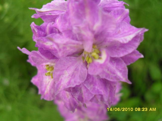Name:  Resim 1100.jpg
Views: 861
Size:  30.8 KB