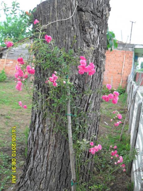 Name:  Resim 1102.jpg
Views: 931
Size:  72.5 KB