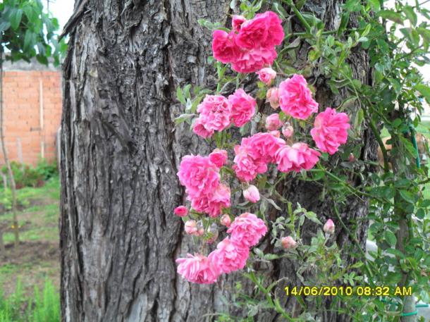 Name:  Resim 1105.jpg
Views: 1265
Size:  72.6 KB
