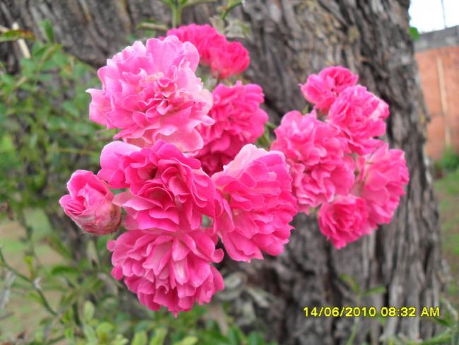 Name:  Resim 1103.jpg
Views: 969
Size:  49.2 KB
