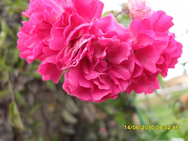 Name:  Resim 1104.jpg
Views: 871
Size:  38.4 KB