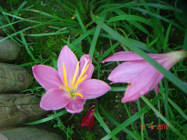 Name:  DSC00520.jpg
Views: 619
Size:  52.7 KB