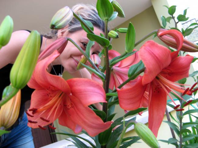 Name:  liliya.jpg
Views: 1559
Size:  50.7 KB