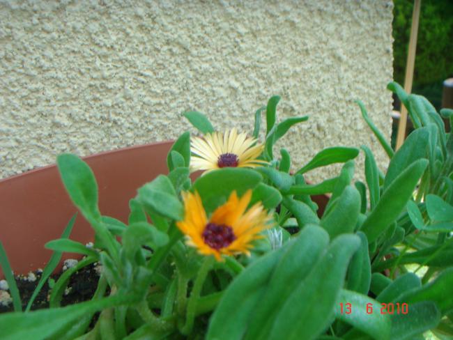 Name:  DSC00646.jpg
Views: 669
Size:  49.4 KB