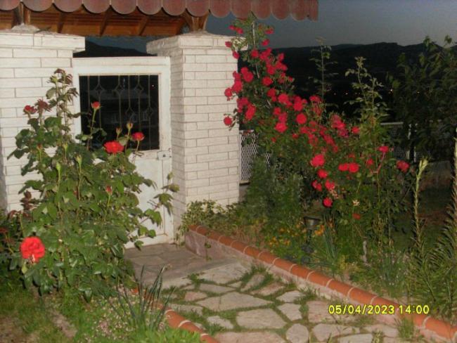 Name:  31818_124792410889903_100000774341481_123833_791369_n.jpg
Views: 535
Size:  57.6 KB