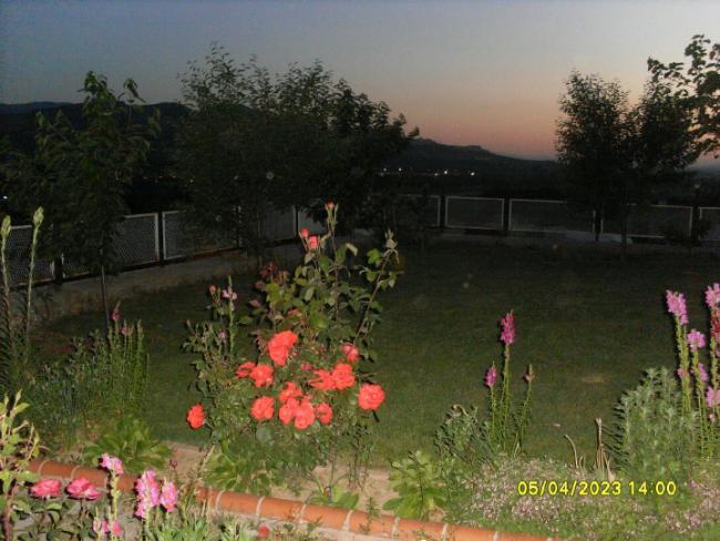 Name:  31818_124792417556569_100000774341481_123834_2558940_n.jpg
Views: 545
Size:  52.8 KB