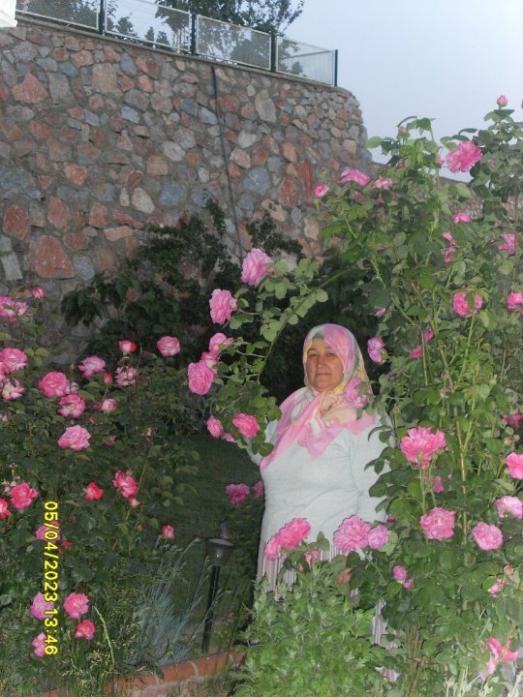 Name:  31818_124792340889910_100000774341481_123821_2121081_n.jpg
Views: 535
Size:  69.5 KB
