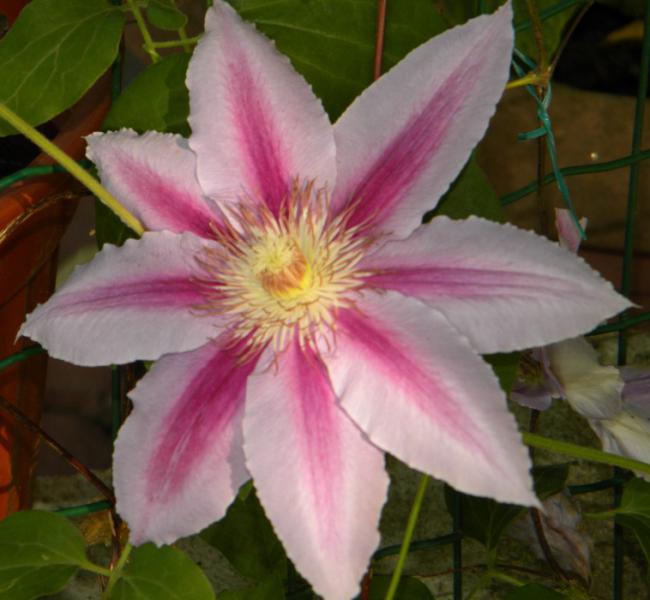 Name:  Resim 006.jpg
Views: 903
Size:  43.7 KB