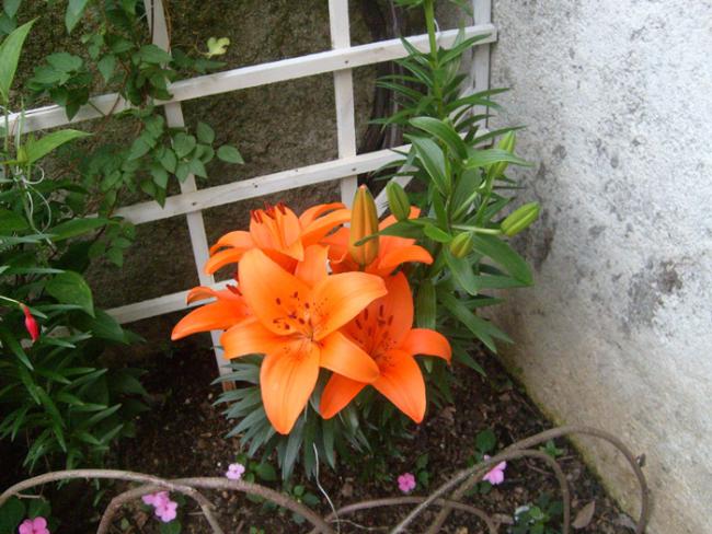 Name:  S6308442.jpg
Views: 468
Size:  58.9 KB