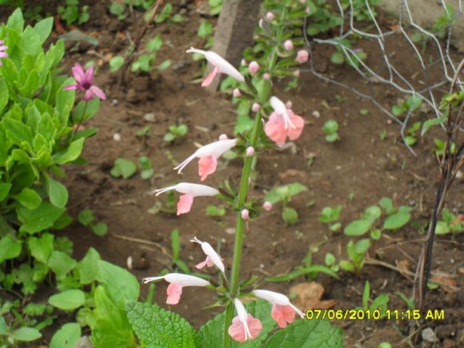 Name:  Resim 948.jpg
Views: 750
Size:  53.7 KB