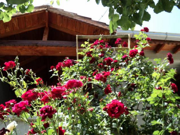 Name:  DSC00455_640x480.jpg
Views: 927
Size:  71.5 KB