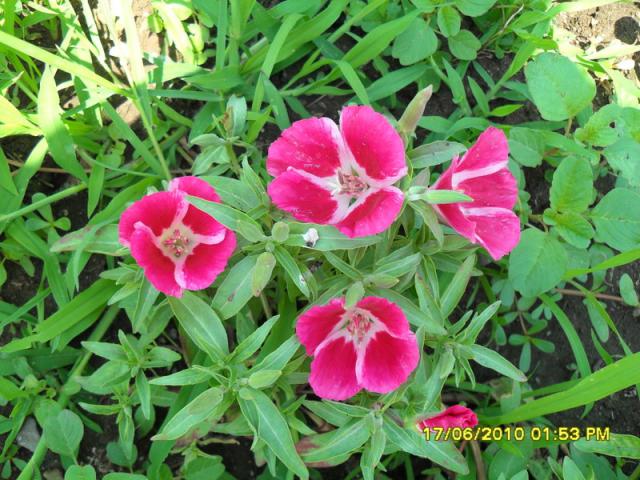Name:  Resim 1199.jpg
Views: 889
Size:  69.6 KB