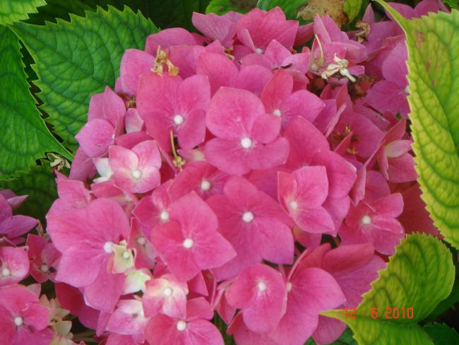 Name:  DSC00211.jpg
Views: 582
Size:  50.7 KB