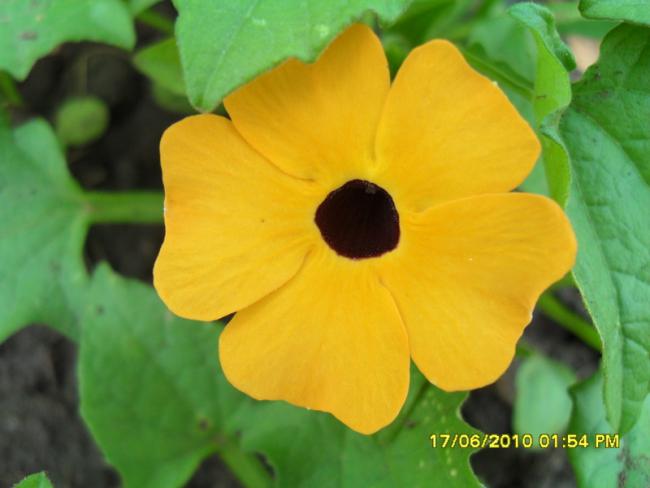 Name:  Resim 1204.jpg
Views: 1036
Size:  30.5 KB