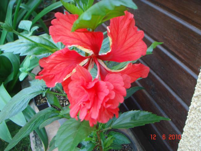 Name:  DSC00542.jpg
Views: 583
Size:  50.4 KB