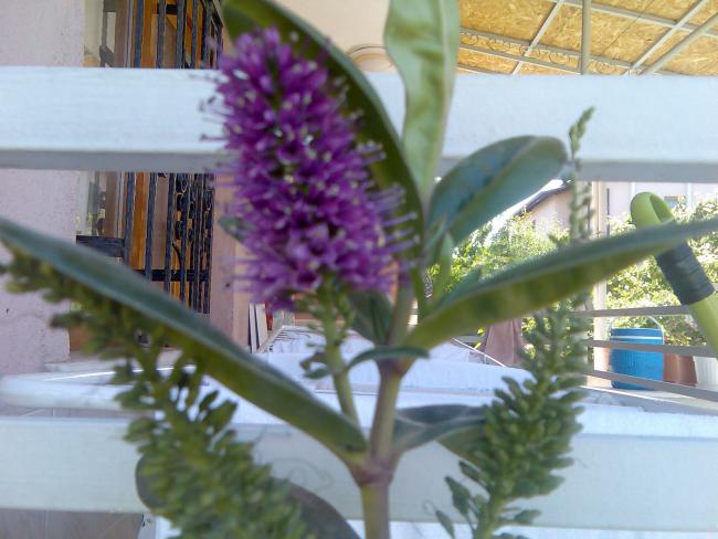 Name:  Grnt409.jpg
Views: 749
Size:  45.7 KB