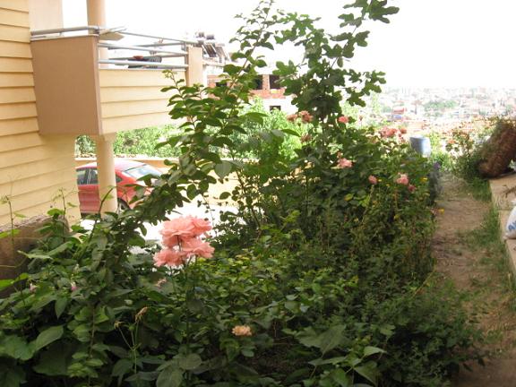 Name:  yan bahe.JPG
Views: 1814
Size:  64.2 KB
