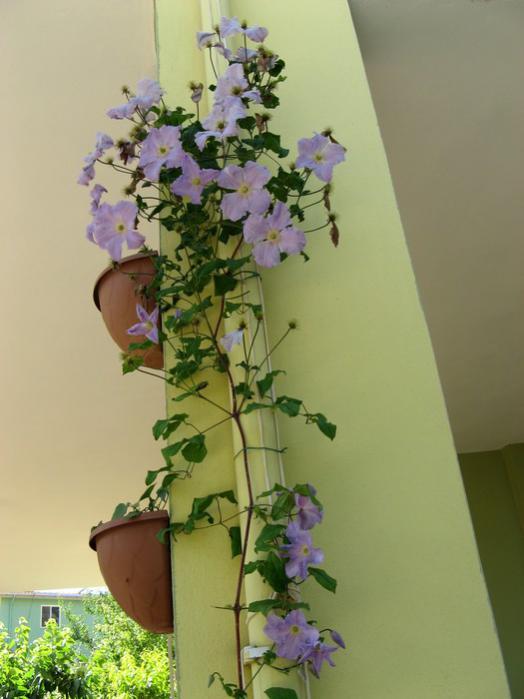 Name:  clmt...jpg
Views: 1008
Size:  40.2 KB